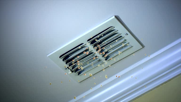 Best Air Duct Cleaning Near Me in MS
