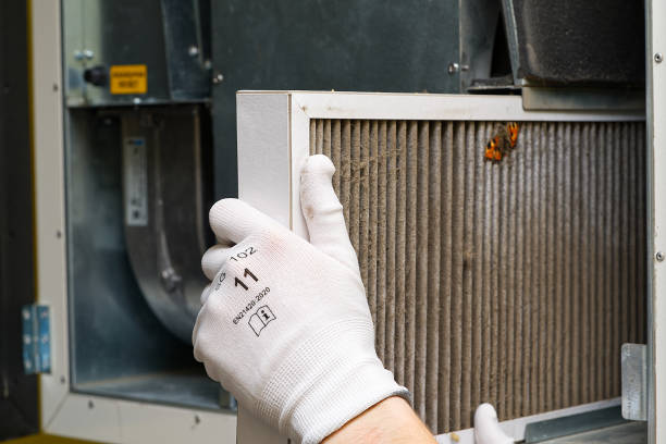 Best Air Duct Sanitizing Services  in Starkville, MS