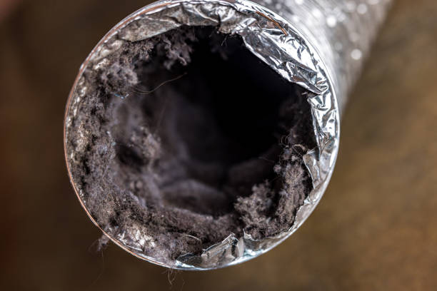 Best Best Air Duct Cleaning Company  in Starkville, MS