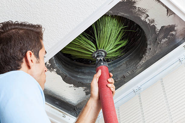 Best Best Air Duct Cleaning Near Me  in Starkville, MS