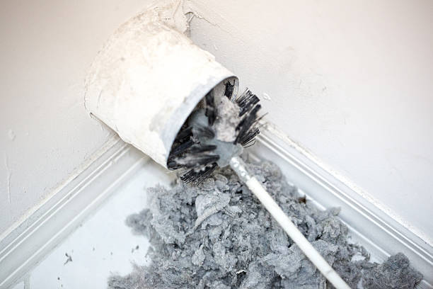 Best Local Air Duct Cleaning Services  in Starkville, MS